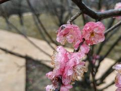 -湖南嵩云山国家森林公园