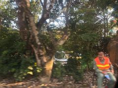 -海南热带雨林国家公园吊罗山景区