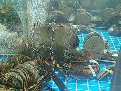 -渔码头食府(蓬莱阁店)