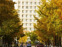 -上海交通大学(闵行校区)