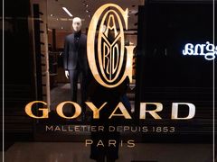 -Goyard 高雅德(国贸商城店)