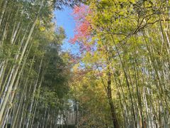 -广东温泉宾馆