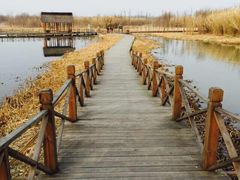 -溱湖国家湿地公园