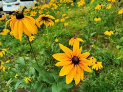 -峡谷浮石林景区