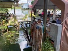-水岸居湖景农家乐·阳澄湖大闸蟹