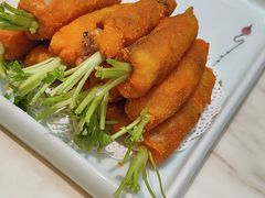 -丁老爷子苏香圆