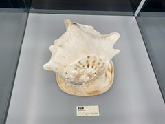 -天津古林古海岸遗迹博物馆