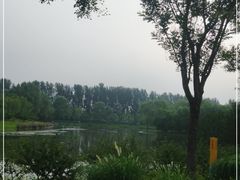 -东郊湿地公园