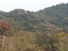 -灵岩山风景区