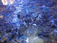 -特色酱椒鱼私房菜(黄鹤楼店)