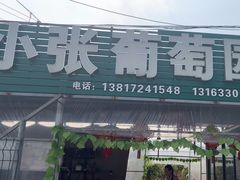 -马陆小张葡萄园农家乐