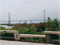 -芒洲湿地公园