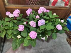 -九號院子海鲜烧烤
