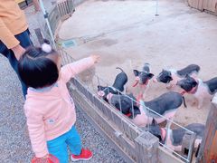 -前小桔亲子创意农场·草莓采摘·露营烧烤