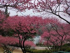 -重庆彩云湖湿地公园