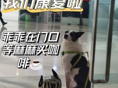 -萌兽医馆·犬猫专科·眼科中心·宠物医院(朝阳门分院)