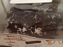 -丽莎蓓甜CAKE生日蛋糕·动物奶油(石家庄店)