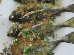 -天天海鲜城·海鲜大排档(新溪店)