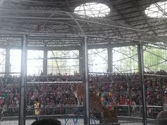 -石家庄市动物园