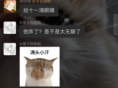 -半岛宠物医院24小时·内窥镜·牙科·碎石中心(府城大道店)