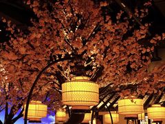 大堂-绿茶餐厅(昌平悦荟店)