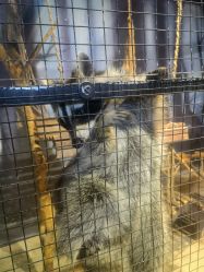 -酷嗒动物文化乐园(cutezoo西溪乐天城店)