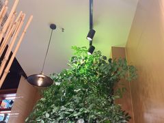 -南小蟹手工點心(三里屯店)
