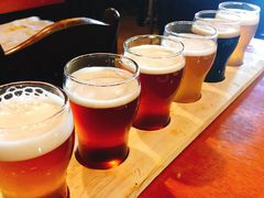 自酿啤酒六连杯-布拉格餐厅· 中欧捷克菜(全国首店)