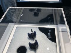 -BLACKSWAN黑天鹅(环球店)