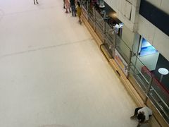 场地-正佳冰河湾真冰滑冰场
