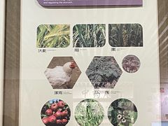 -北京中医药大学-中医药博物馆