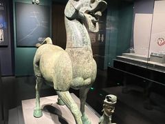 -广西壮族自治区博物馆