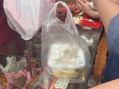 -非遗·老山合·潮汕特产猪头粽(龙眼南店)