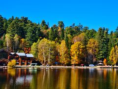 -五营红松林海景区