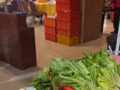 -茂港柏香(侨港路店)