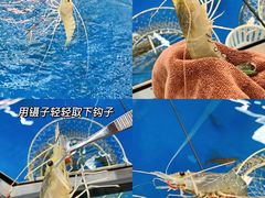 -SHRIMP CLUB万东餐饮钓虾·清吧