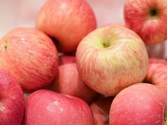 -广州粤海喜来登酒店