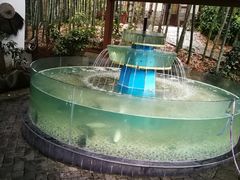 -木子山庄·安徽省老字号·中国炖锅宴
