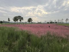 -汉长安城未央宫国家考古遗址公园