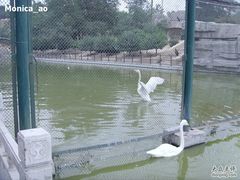 -太原动物园