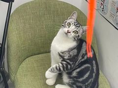 -北京恒爱动物医院(清景园分院)