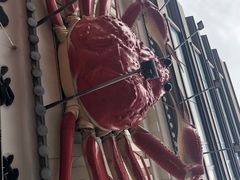 -蟹道乐(道顿堀本店)