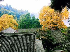 -青城山