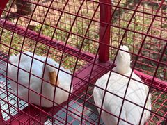 -云碧峰国家森林公园