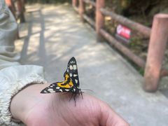 -藏龙百瀑风景区