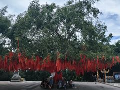 -西双版纳勐泐文化旅游区