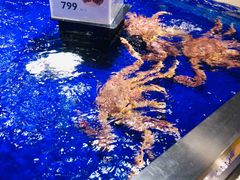 -盒马鲜生(新都心店)