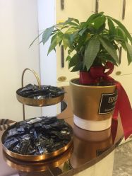 -INSTYLE造型·明星店