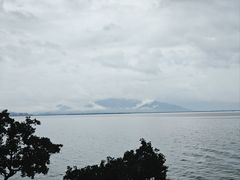 -深圳湾公园(南山区)