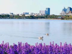 -顺峰山公园